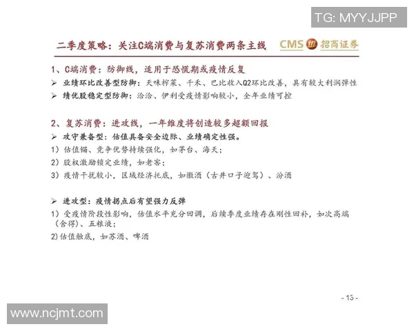 南京羽毛球队防守策略分析与比赛表现的得失评估